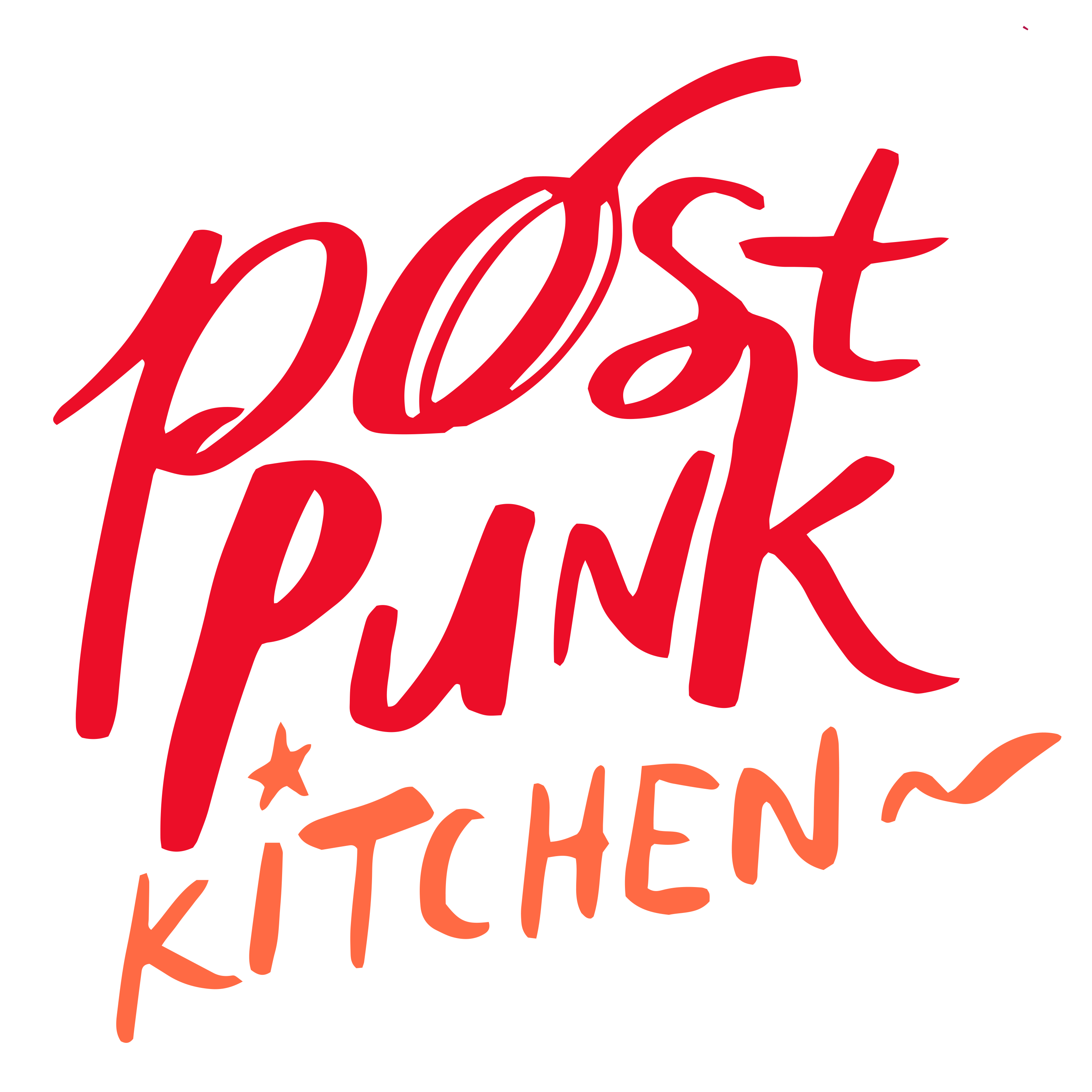 Post Punk Kitchen - Isa Chandra Moskowitz