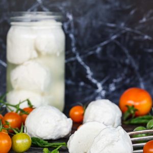 Vegan Cashew Mozzarella