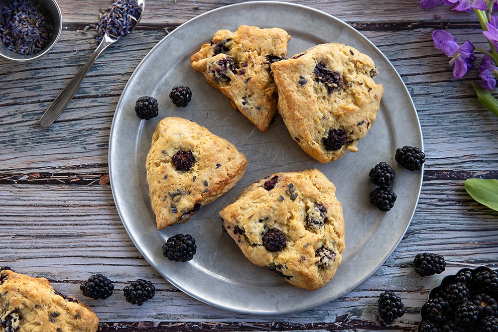 Vegan blackberry lavender scones. Quick, easy recipe.