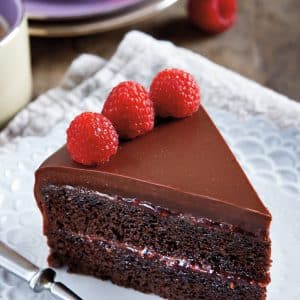Vegan chocolate raspberry blackout cake
