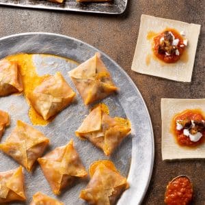 Vegan pizza roll wontons, kind of a totinos pizza roll copycat vegan style